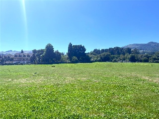DE LA GANDARA O EL PUENTE (PARCELAS 19, 2