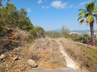 COSTERA NEGRA;PARCELA 173 12