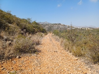 COSTERA NEGRA;PARCELA 173 15