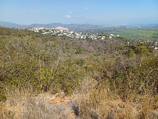 COSTERA NEGRA;PARCELA 173 17