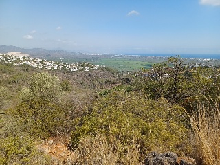 COSTERA NEGRA;PARCELA 173 18