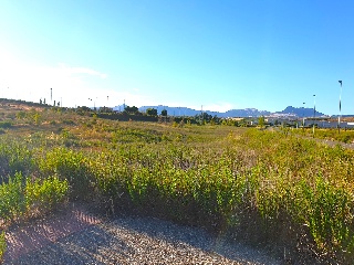 LAS CAÑAS (MANZANA 20) 5