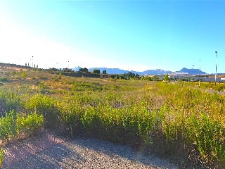 LAS CAÑAS (MANZANA 20) 7