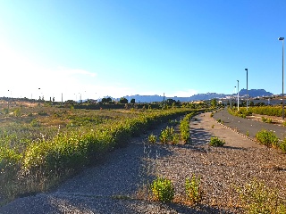 LAS CAÑAS (MANZANA 20) 8