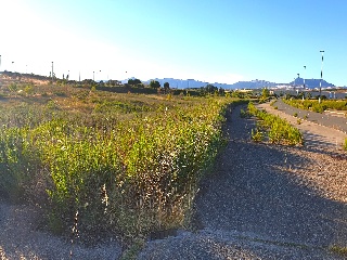 LAS CAÑAS (MANZANA 20) 9