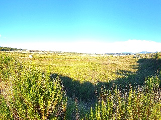 LAS CAÑAS (MANZANA 20) 10