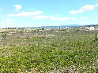 LAS CAÑAS (MANZANA 20) 12