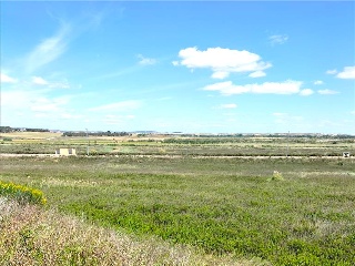 LAS CAÑAS (MANZANA 20) 13