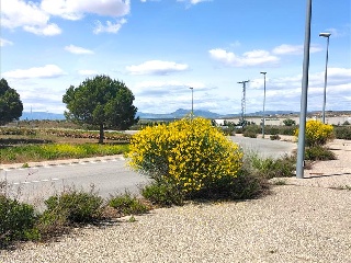 LAS CAÑAS (MANZANA 20) 14