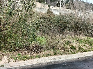 COTO DE ARRIBA 2