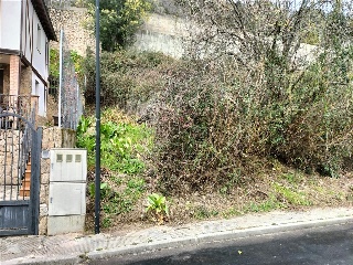 COTO DE ARRIBA 3