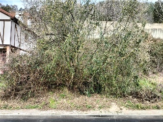COTO DE ARRIBA 4