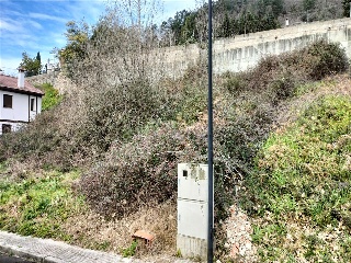 COTO DE ARRIBA 5