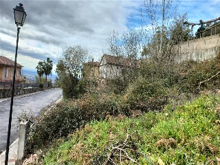 COTO DE ARRIBA 7