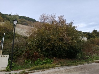 COTO DE ARRIBA 9