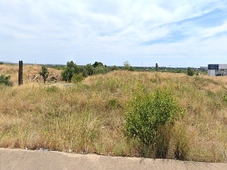 Castell Vell 2