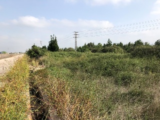 PL BARXETA II PAR 3-10 3
