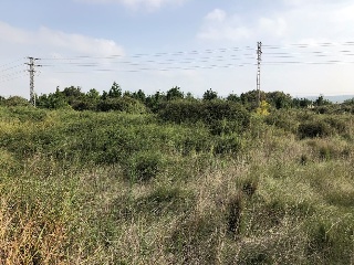 PL BARXETA II PAR 3-10 4