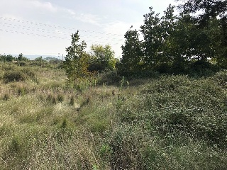 PL BARXETA II PAR 3-10 5