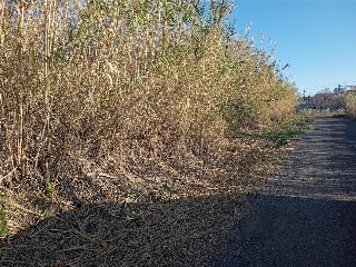 PL BARXETA II PAR 3-10 7