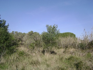 Suelos en Torredembarra - Tarragona - 6