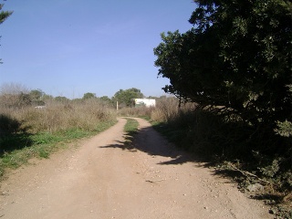 Suelos en Torredembarra - Tarragona - 7