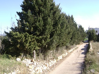 Suelos en Torredembarra - Tarragona - 8