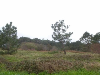 Suelo urbanizable en C/ Goienetxe, Getxo (Vizcaya) 5