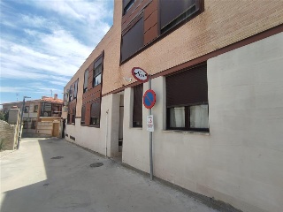 Pardo 3