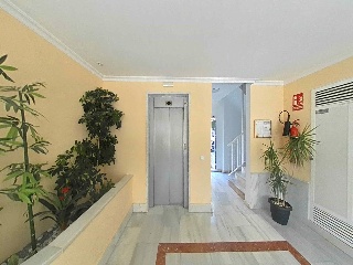 Marinada 26