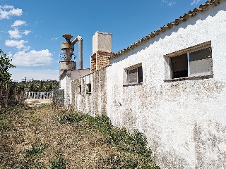 Balson 14