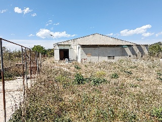 Balson 15