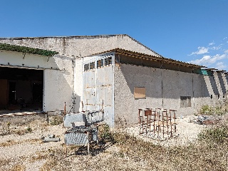 Balson 17