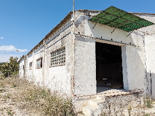 Balson 18