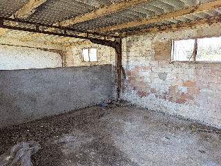 Balson 19