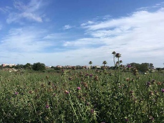 Otros en venta en Jerez De La Frontera de 33753  m²