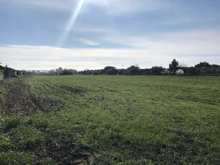 Suelos Urbanizables situados en Jerez de la Frontera 15