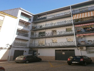 Pisos banco Linares