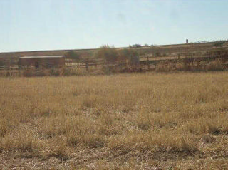 Terreno con edificación en Almendral 14