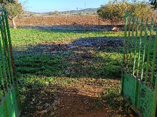 Terreno con edificación en Almendral 20