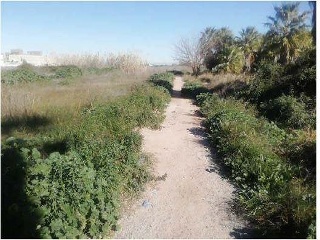 Suelo urbanizable en Pr/ Vila o Almudafer - Sagunto - 4