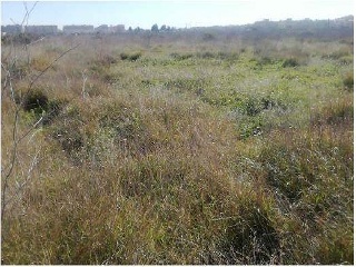 Suelo urbanizable en Pr/ Vila o Almudafer - Sagunto - 5