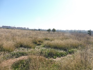 Suelo urbanizable en Pr/ Vila o Almudafer - Sagunto - 7