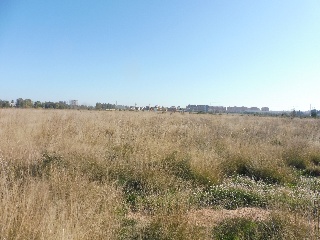 Suelo urbanizable en Pr/ Vila o Almudafer - Sagunto - 9
