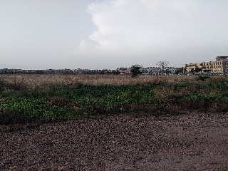 Suelo urbanizable en Pr/ Vila o Almudafer - Sagunto - 13