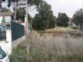Baeza 3