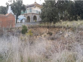 Baeza 5
