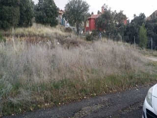 Baeza 6