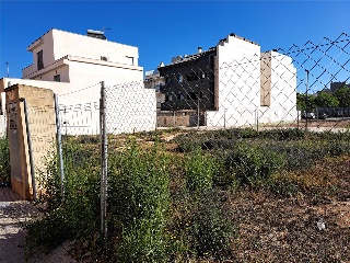 CARDENAL CISNEROS 4