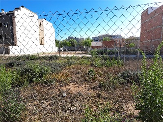 CARDENAL CISNEROS 5